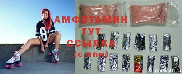 твердый Абаза