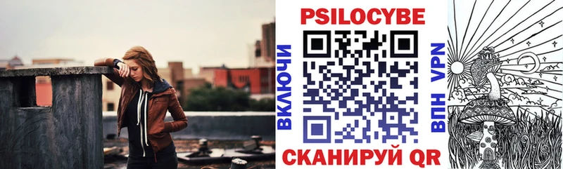 закладка  Новочебоксарск  Галлюциногенные грибы Psilocybine cubensis 